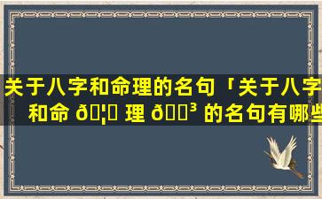 关于八字和命理的名句「关于八字和命 🦍 理 🐳 的名句有哪些」